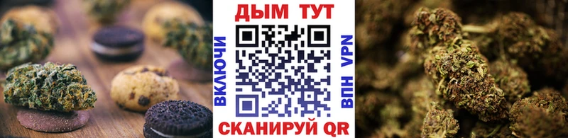 закладка  Высоцк  Canna-Cookies конопля 