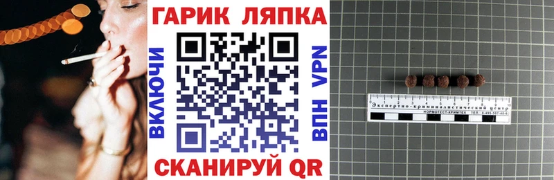 где купить наркоту  Высоцк  Гашиш Premium 