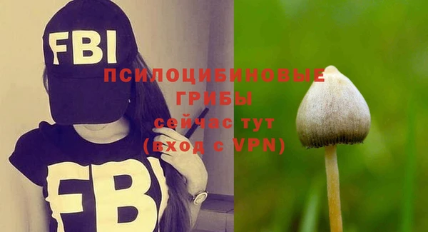 мескалин Белокуриха