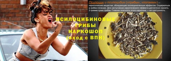 молекула духа Богородицк