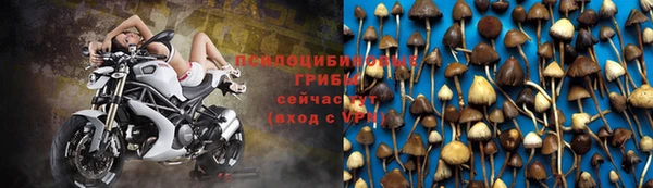 мескалин Богданович