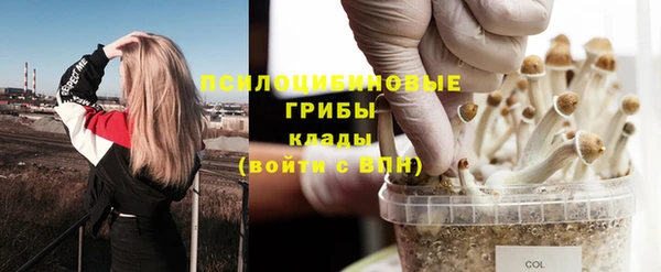 мескалин Белокуриха